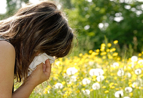 Allergy Survival Guide: 7 Tips on How to Survive Allergies This Year