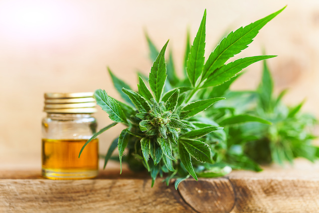 CBD Oil for Pain Relief and Decreased Inflammation