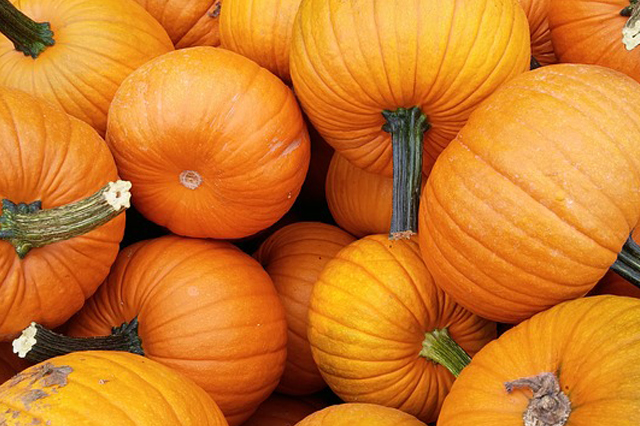 Best Fall Harvested Foods to Keep You Healthy